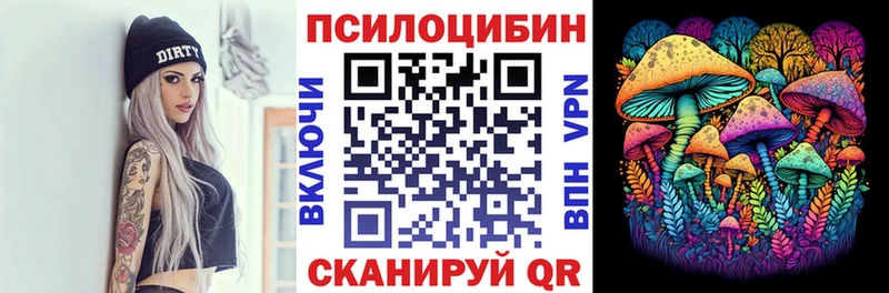 Псилоцибиновые грибы Psilocybine cubensis  Бежецк 
